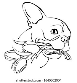 Beautiful french bulldog. You can bring it and create it on your product or whatever you want. Suitable for use as a logo, symbol, signage.