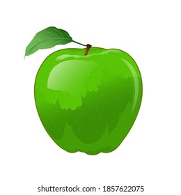 Ilustración vectorial de manzana verde hermosa y fresca