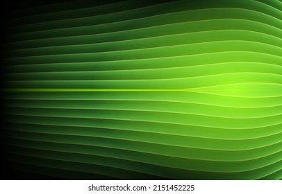 A beautiful fresh green leaf highlighted by the sun. The plant has a beautiful expressive structure. abstract green vector illustration.
