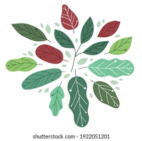 Beautiful fresh green leaves flat style vector illustration isolated on white, floral composition drawing, botanical design.