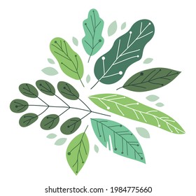 Beautiful fresh green leaves flat style vector illustration isolated on white, floral composition drawing, botanical design.