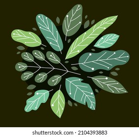 Beautiful fresh green leaves flat style vector illustration over rark, floral composition drawing, botanical design.