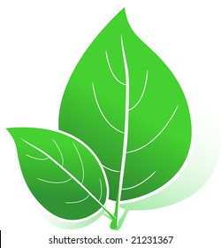 Beautiful fresh Leaf icon