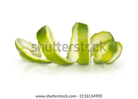 Beautiful fresh lime peel. Vector illustration.