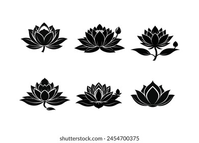 a beautiful fresh lotus flower vector art illustration