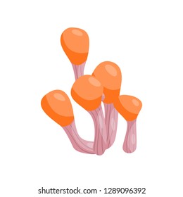 Beautiful fresh mushroom of unusual shape. Colored mushroom for cooking mushroom soup and other dishes.