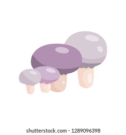 Beautiful fresh mushroom of unusual shape. Colored mushroom for cooking mushroom soup and other dishes.