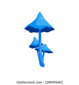 Beautiful fresh mushroom of unusual shape. Colored mushroom for cooking mushroom soup and other dishes.