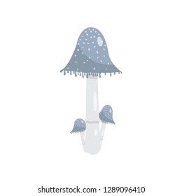 Beautiful fresh mushroom of unusual shape. Colored mushroom for cooking mushroom soup and other dishes.
