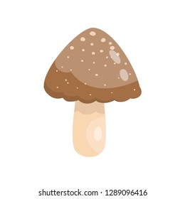 Beautiful fresh mushroom of unusual shape. Colored mushroom for cooking mushroom soup and other dishes.