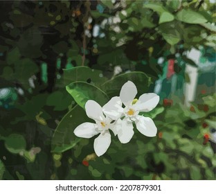 beautiful fresh small white flower vector watercolor illustration template