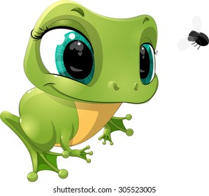 beautiful frog that looks at a fly on a white background