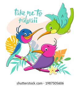 Beautiful funny birds collection. Vector cartoon illustration. Funny summer animals, hummingbirds. Design for t-shirts