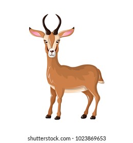 Beautiful funny cartoon antelope. Cute, fast antelope with sharp horns. Herbivorous mammals animals. They live in central and southern Africa, in savannah, steppes, in plains. Vector illustration.