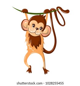 Beautiful funny cartoon monkey, hung on a tree branch. Colorful little monkey, a representative of primates, living in the subtropics and tropics. An animal from the zoo. Vector illustration.