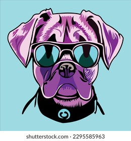 A beautiful and Funny dog looks cute in colorful