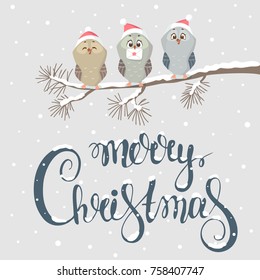Beautiful and funny three owls with amazing calligraphy inscription-merry christmas. Christmas and new year greeting card. Stylish vector illustration