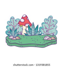 beautiful garden bush and fungus landscape scene
