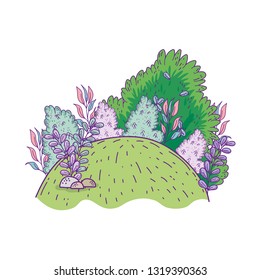beautiful garden bush landscape scene