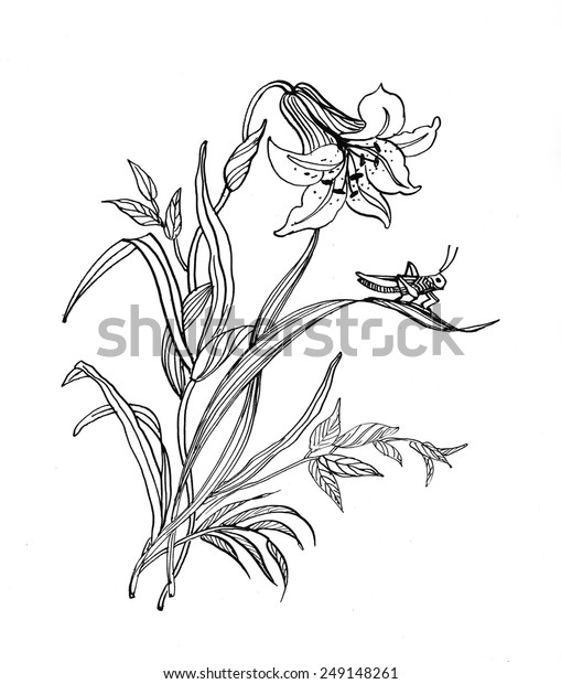 Beautiful Garden Flower Sketch Vector Illustration Stock Vector