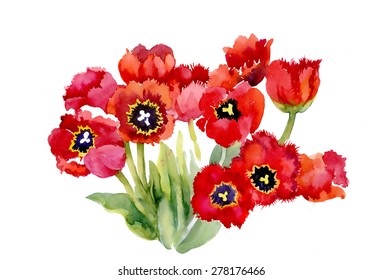 Beautiful garden tulip summer flowers, watercolor vector illustration