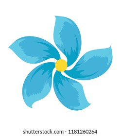 
A beautiful generic anemone flower
