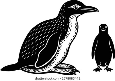 Beautiful  Gentoo penguin, Falkland Islands  vector art illustration 