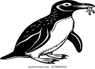 Beautiful  Gentoo penguin, Falkland Islands  vector art illustration 