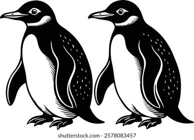 Beautiful  Gentoo penguin, Falkland Islands  vector art illustration 
