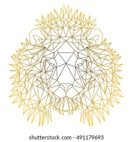 Beautiful geometric lion. Nice polygonal vector illustration