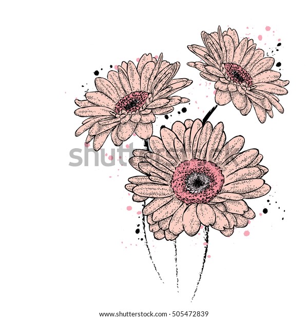 美しいガーベラ カードやポスターのベクターイラスト 服に印刷 花 のベクター画像素材 ロイヤリティフリー