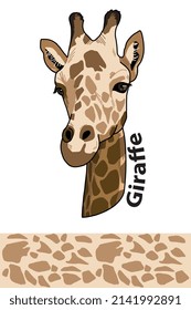 Beautiful giraffe head of  wild animal living in nature with a print texture of the skin