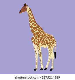 A beautiful giraffe vector art work.