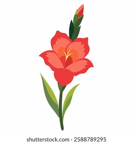 Beautiful gladiolus flower on white background