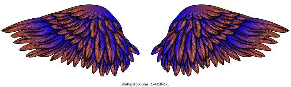 Beautiful glowing electric nlue orange wings, vector