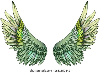 Beautiful glowing tropical green angel  wings, vector