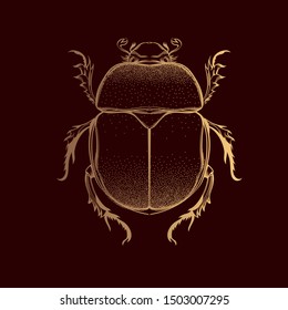 Beautiful gold beetle on a white background in linear style. Hand-drawn.