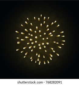 Beautiful gold firework. Bright firework isolated on black background. Light golden decoration firework for Christmas, New Year celebration, holiday, festival, birthday card Vector illustration