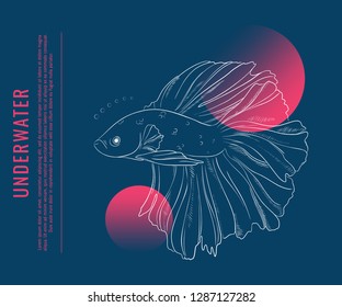 Beautiful gold fish underwater line art. Marine vector sketch. Sea food illustration on black background. Vintage decoration. Hand drawn inverse art with gradient blobs. Retro style