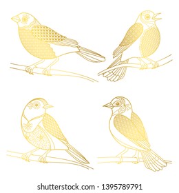 Beautiful golden birds vector isolated on white background. Bird golden, wildlife linear illustration