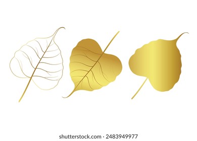 beautiful golden bodhi leaf vector