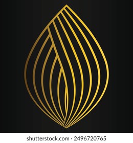 beautiful golden flower petal on black background design