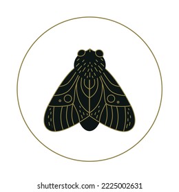 beautiful golden moth, vector illustration