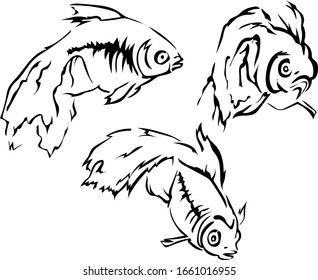 bella imagen vectorial de pez dorado