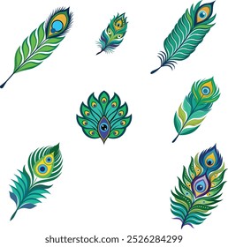 beautiful, gorgeous, peacock ,feather, vector