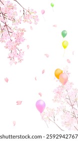 Beautiful and gorgeous petal fluttering spring cherry blossoms and colorful balloons flying white background frame background material.
