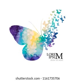 Beautiful graceful colored butterfly mosaic