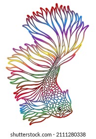 Beautiful gradient colour betta fish with beautiful fins design  illustration for wallpaper background ads clothing or logo
