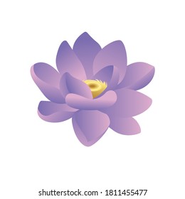 beautiful gradient lotus flower vector template