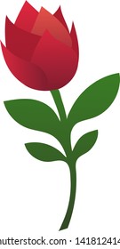 Beautiful gradient red tulip on a green stalk with four leaves, vector
